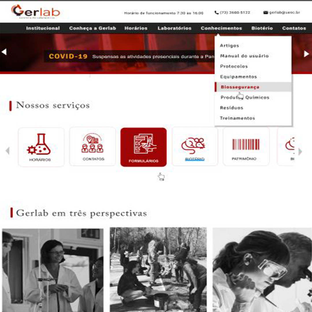 Imagem do layout de um site para Gerlab